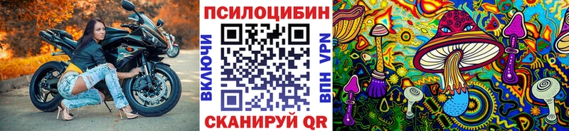 Галлюциногенные грибы GOLDEN TEACHER  Балтийск 