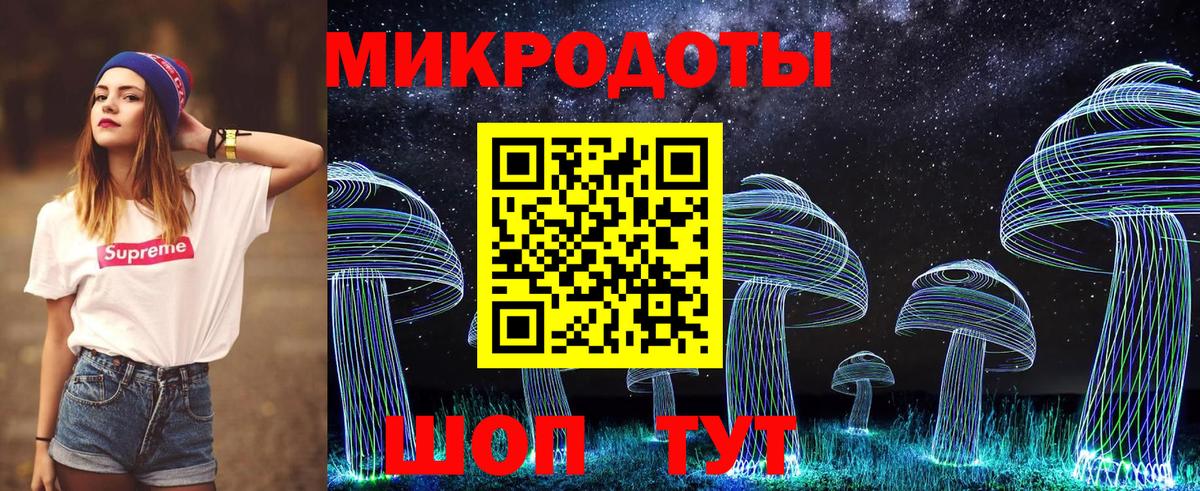 Псилоцибиновые грибы Cubensis Балтийск